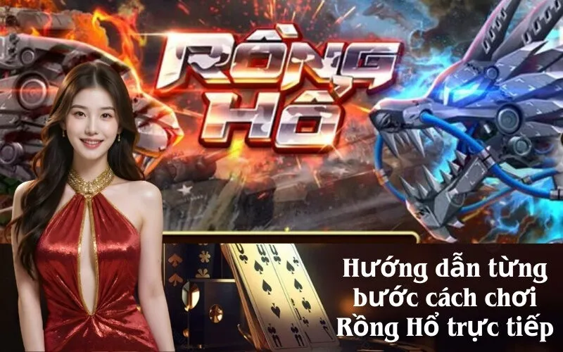 Hướng dẫn từng bước cách chơi Rồng Hổ trực tiếp