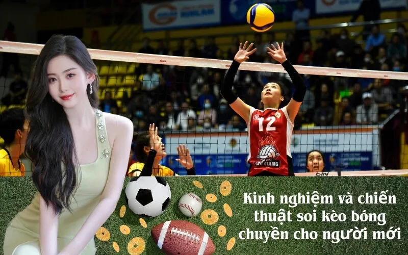 Kinh nghiệm và chiến thuật soi kèo bóng chuyền cho người mới